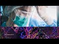 PERSONAL PROTECTIVE EQUIPMENT FOR HEALTH CARE PROVIDERS REMOVAL 2024