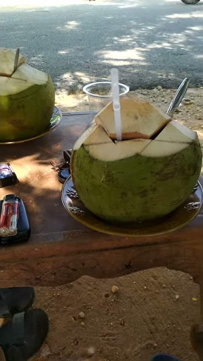 Minum es kelapa muda