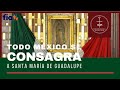 Todo México se consagra a Santa María  de Guadalupe con la participación de Pepe González