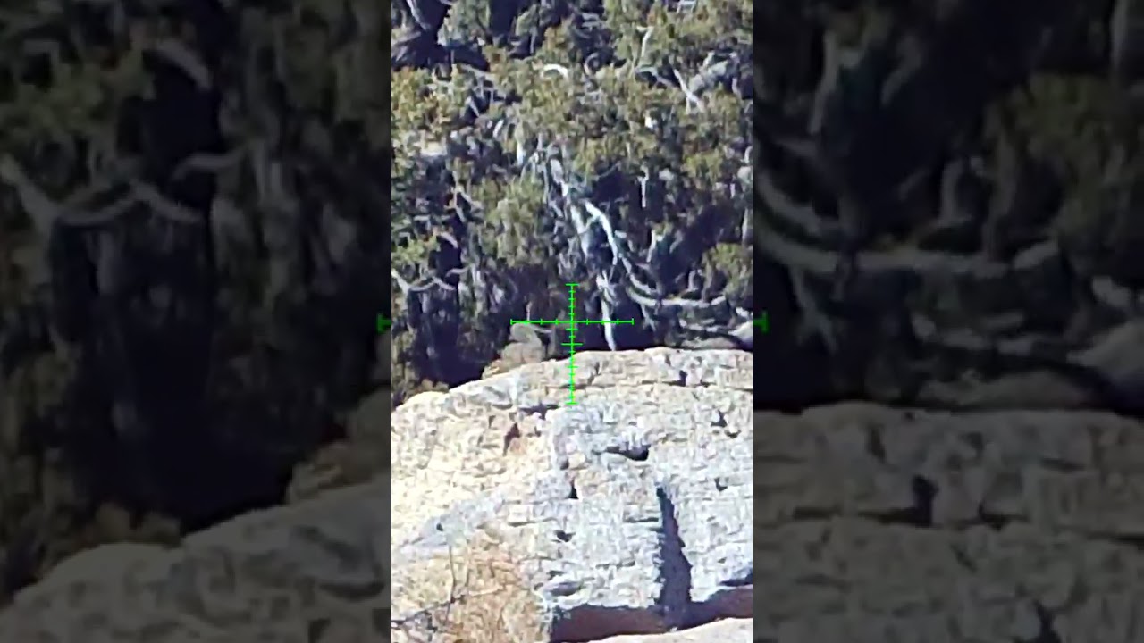 BRK Ghost Snipes a Squirrel! 🐿️💥