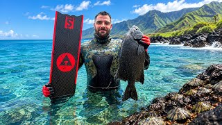 RARE Hawaiian Fish Spearfishing + Catch & Cook Opihi | Exploring Maui’s Crystal Clear Reefs