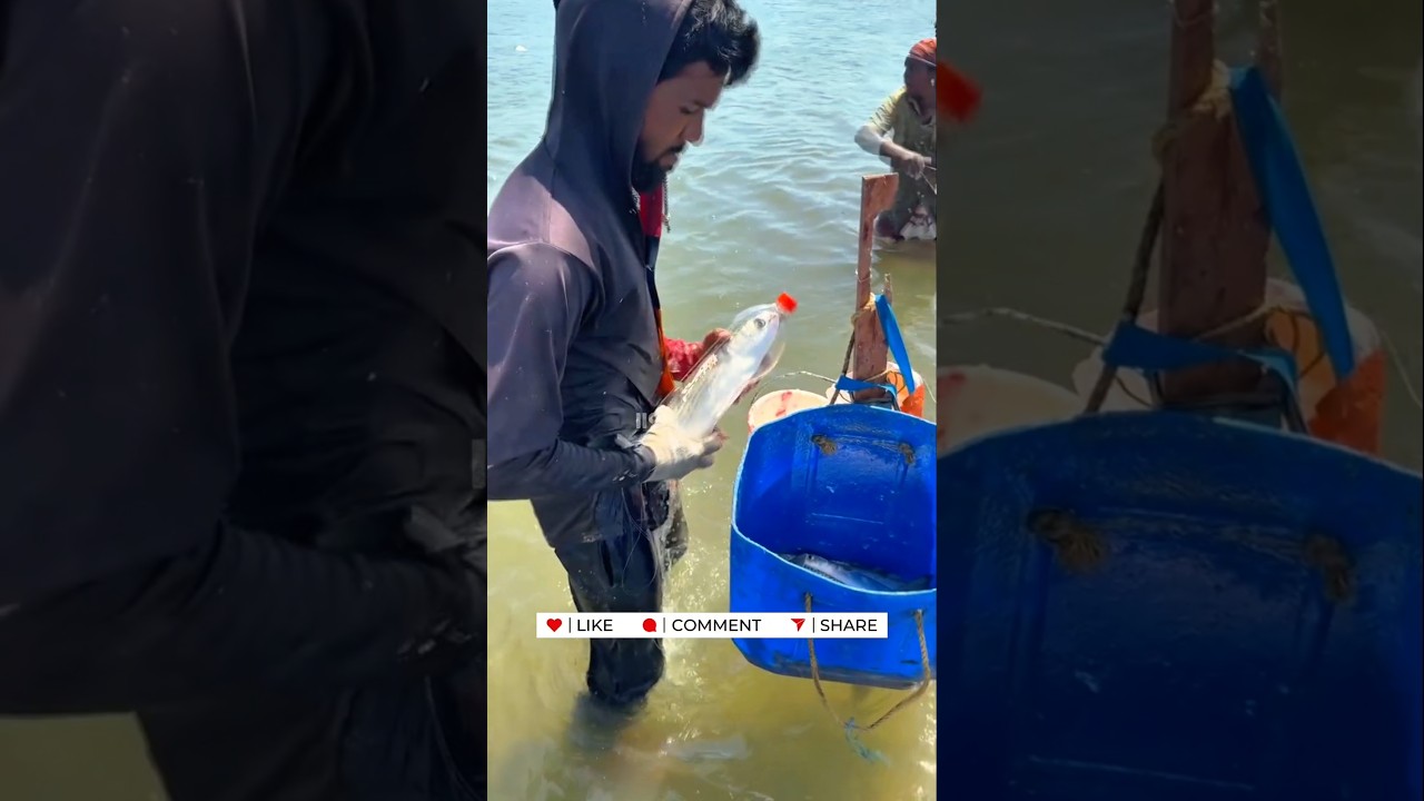 Ye Banda Bottle Se Machhli Pakadta Hai!