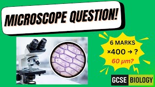 GCSE Biology Microscope Question (Plant vs Animal Cells + Magnification) | Exam-Style Worked Answer
