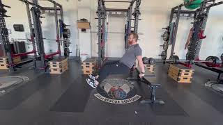 Bench Dips