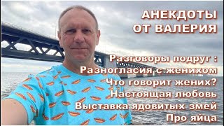 картинка: Анекдоты: Разговоры подруг