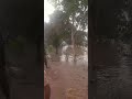 Floods in Punjab 2