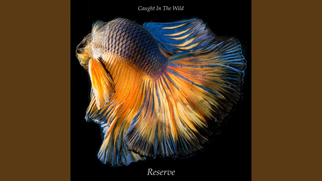 video phone beyonce mp3 Listen To Me