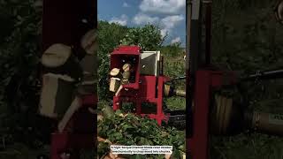 Arpal AM-120TR Tractor PTO Wood Chipper Machine Chopping 120mm Raw Timber Logs #machine
