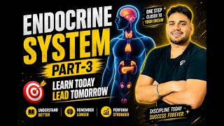 ENDOCRINE SYSTEM 🔥 Part-3 | Complete Concepts + Tricks | NEET 2026 Biology