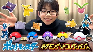 新発売】何が出るかな！？ポケモンゲットコレクションズ！全ボールを1