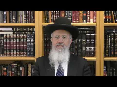 הרב אברהם יוסף שליט"א באיזה צורה מכשירים את המטבח לחג הפסח