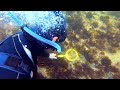 Underwater Metal Detecting near "SHIPWRECK'' GOLD Found, Money, Bullets (return to owner)