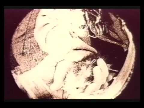 Greasy Jungle - Day for Night - The Tragically Hip