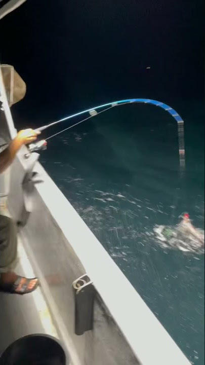Candat sotong #shorts #khairulbotbalok #killersotong #squidfishing