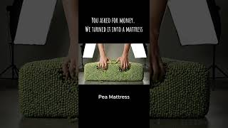 Its Dinner Time, Bedtime And Payday All At The Same Time. Sleep Cult Style.