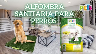 Doggie Grass Alfombra Sanitaria para Perros | Fancy Pets