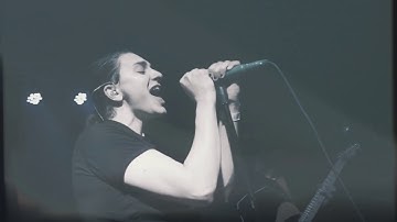 Thumbnail of I Met A Yeti - Honey Bee (Live Music Video)