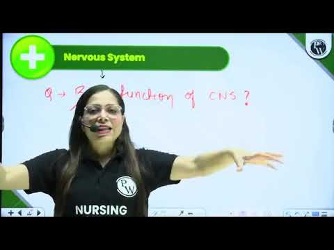 182  371 Nervous System 02 Anatomy and Physiology of Nervous System