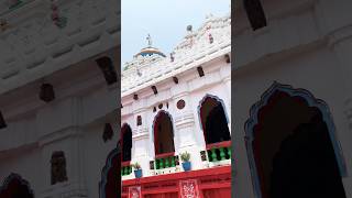 sarankul Laddukeswara temple Nayagarh #shorts #ytshorts #tripswithruby #travel #temple #trips #like
