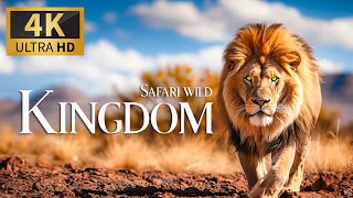 Safari Wild Kingdom 4K 🐾 Discovery Relaxation Film With Calm Relaxing Music & Nature Video