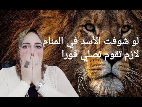 رؤية الأسد في المنام