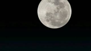 سورة الماعون للشيخ حاتم فريد