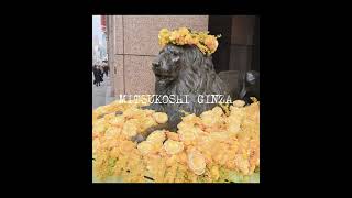 日本東京銀座蔦屋書店／銀座三越(Tsutaya Books in Ginza Six/ Ginza Mitsukoshi)