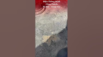 Tại sao nên bơm mỡ cho moter cổng tự động - điện thông minh Công Thành #shorts