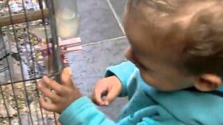 CIMG7149.AVI