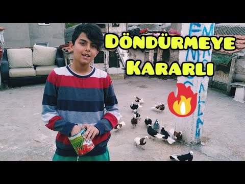 Emirhan Dönek Güvercinleri Uçurdu 🕊️