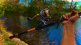 Canal Fishing IN ORLANDO FLORIDA