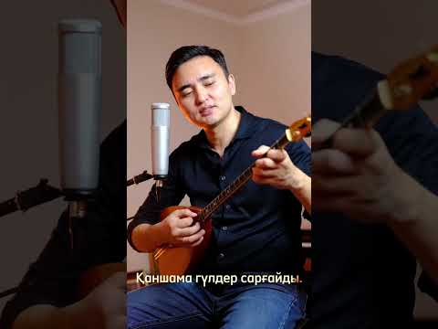 Нурсултан Сабиров Махаббат мәңгі ертегі Әні Бауыржан Тұрғараев Сөзі Исраил Сапарбай