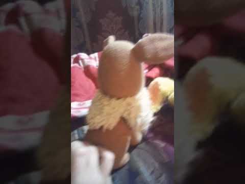 Eevee and Chicky: The Big Day!