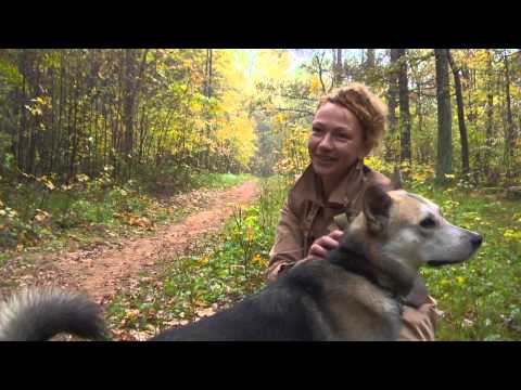 Video: Pennyroyal Saindēšanās Ar Eļļu Suņiem - Indīgi Augi Suņiem