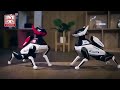 AI Simulation Robot Dog Intelligent #aidog #dogloversdog #china