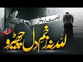 Heart touching kalam 2023  zakhm e dil na cherho  zaki ahmad  peace studio  nasheed club