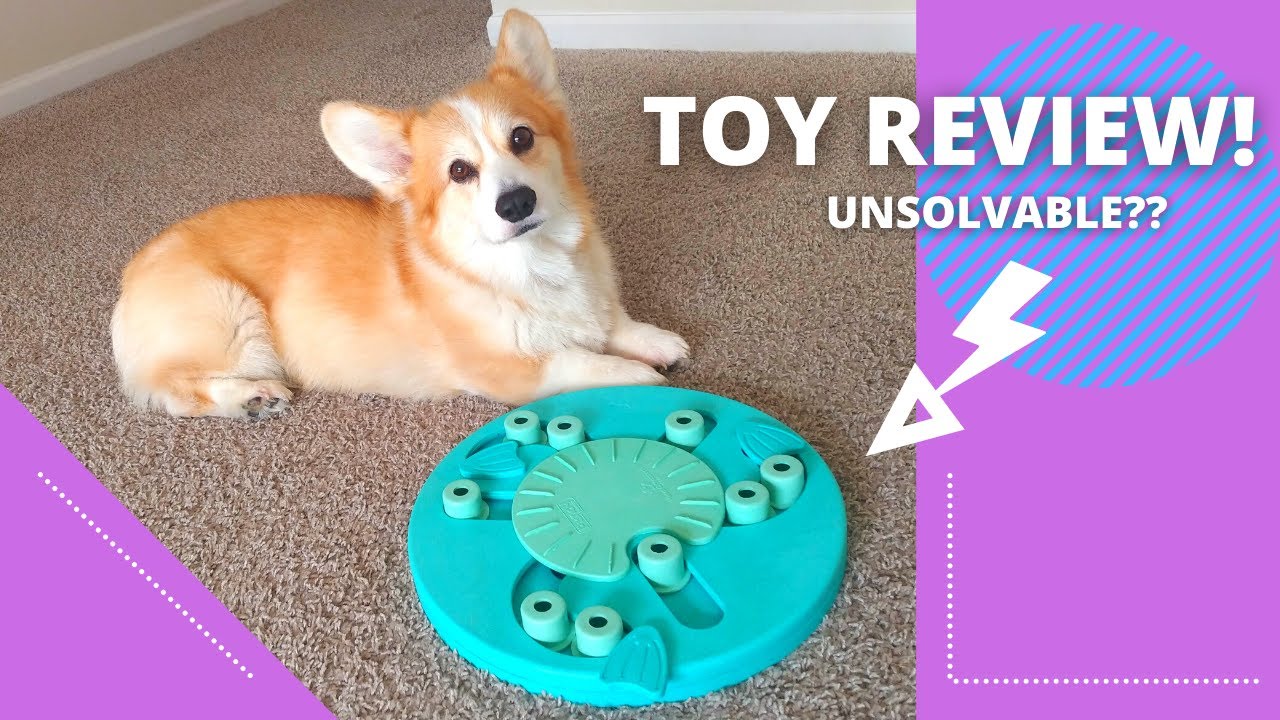 Worker Dog Toy (Nina Ottosson) // TOY REVIEW