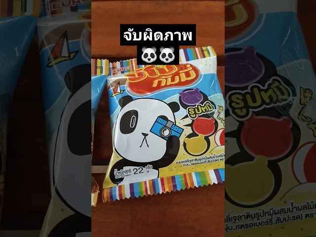 เกมส์จับผิดภาพ 🐼⁉️ #shorts