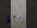 skibidi minecraft 2