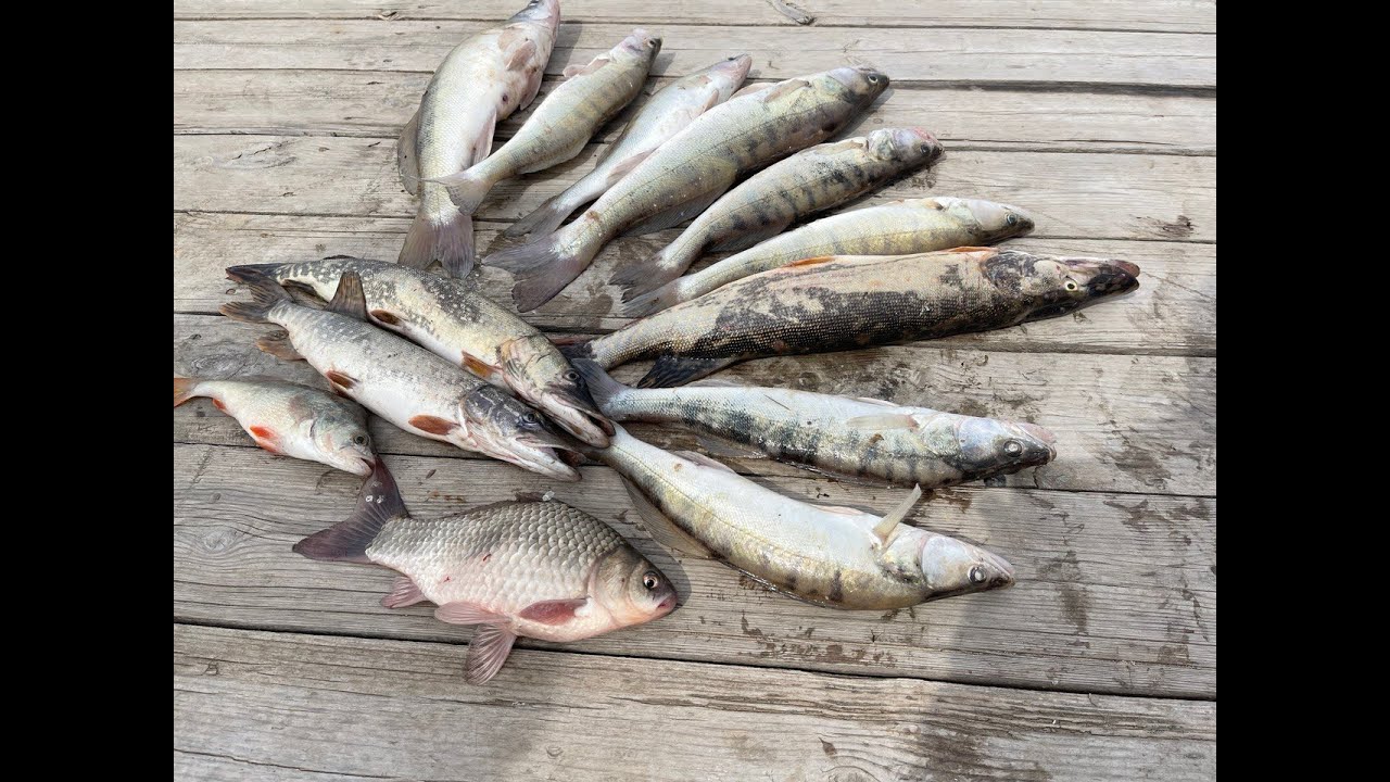 Рыбалка в Астрахани: цена отдыха. База отдыха 