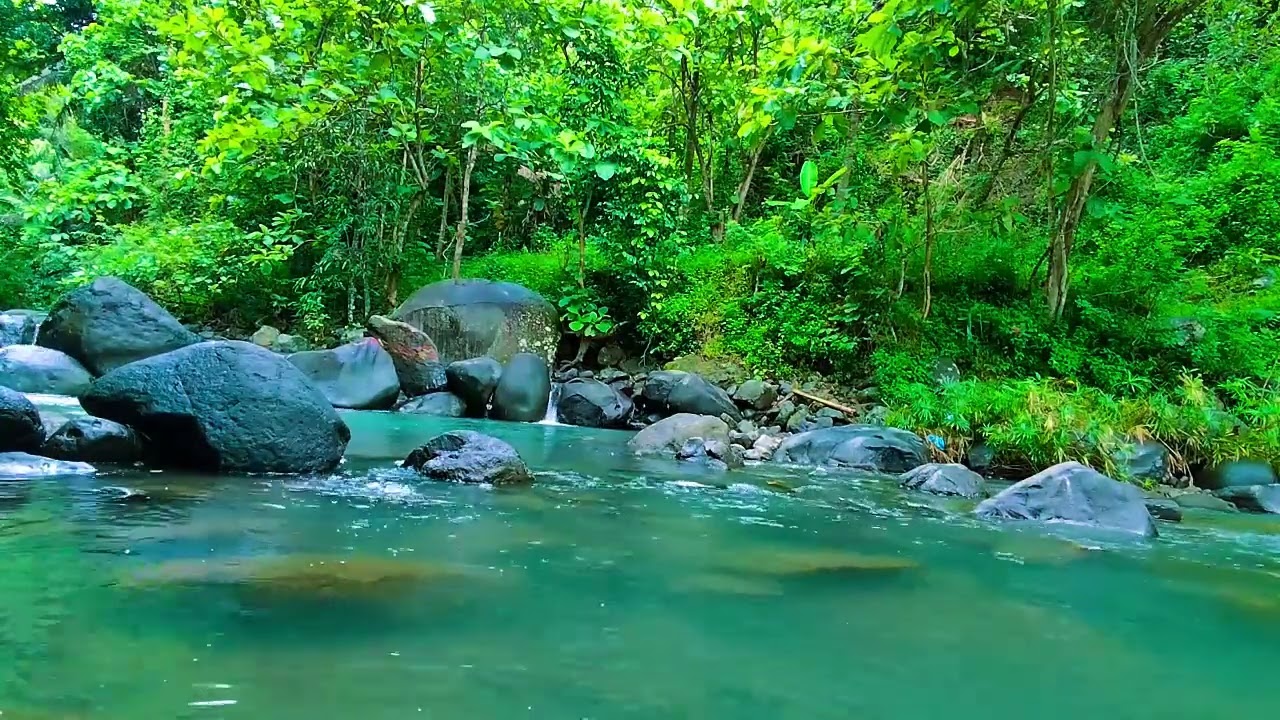 Relaxing Nature Sounds, Clear Green Forest Stream, Deep Sleep and Stress Relief