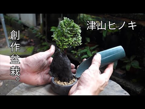 創作盆栽 - YouTube