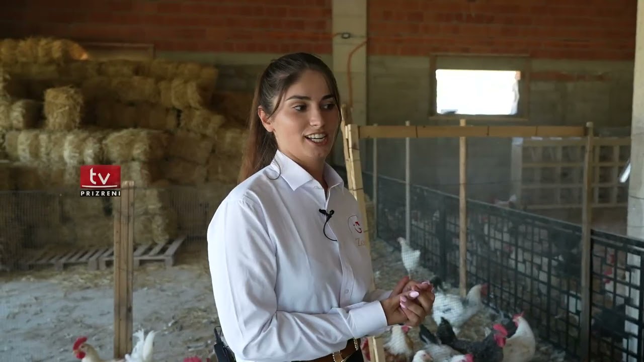 Nga Franca në Kosovë: Familja Çoçaj hap fermën dhe restorantin “Zogu” me specialitet pulën BIO