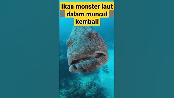 ikan monster laut dalam muncul kembali bos#shorts #ikan #monster#laut