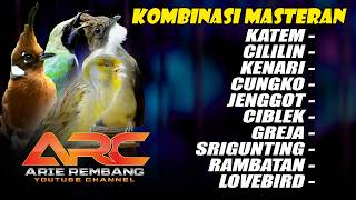KATEM - CILILIN - KENARI - CUNGKO - JENGGOT - CIBLEK - GREJA - SRIGUNTING - RAMBATAN - LOVEBIRD