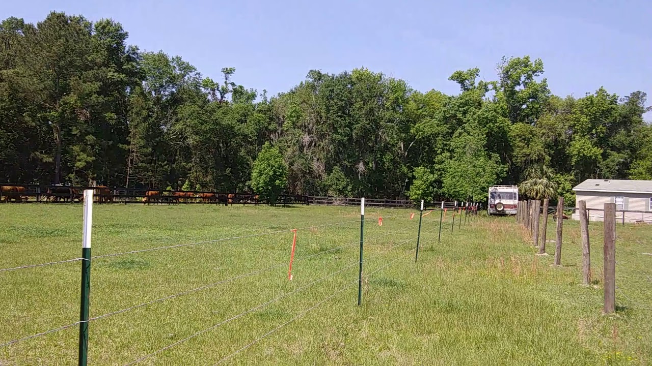 Charles & Astrid Hall Run Cattle On Necessity Access Road-(Landlock Injured Donna), April 26, 2018