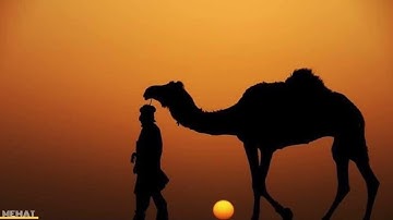 تلاوة عطرة مع القارئ الموريتاني ينجه ( وَحَرَّمْنَا عَلَيْهِ الْمَرَاضِعَ مِن قَبْلُ…)