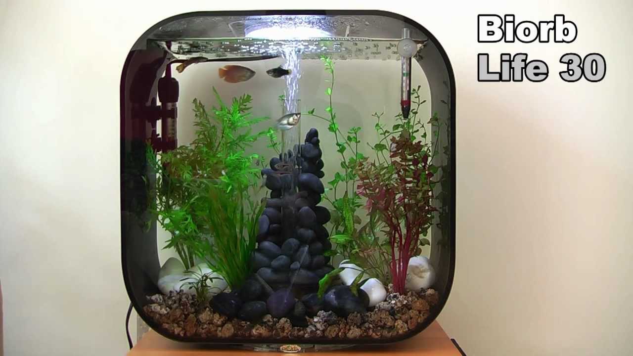 Biorb Life HD - YouTube