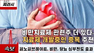 [증권가찌라시] 비만치료제 관련주 #한국파마 #명문제약 #대화제약 #대원제약 #동구바이오제약 #제약주 #주식추천 #추천주 #종목추천