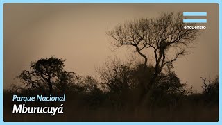 Parque Nacional Mburucuyá - Corrientes | Equilibrios | Encuentro